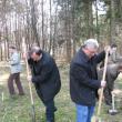 Gheorghe Flutur şi Ion Lungu au lăsat pentru câteva ore munca administrativă şi au venit la plantat copaci