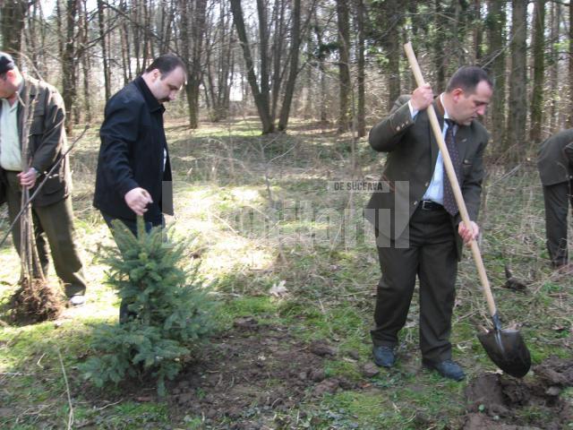 Prefectul Sorin Popescu şi directorul Direcţiei Silvice Suceava, Mihai Miheţiu, la acţiunea din parcul Cetăţii de Scaun