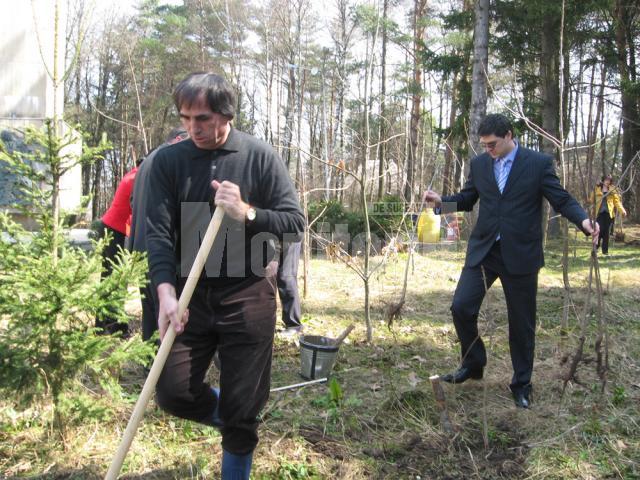 Luna Pădurii: Peste 300 de copaci au fost plantaţi în zona Cetăţii de Scaun