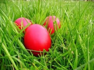 Ouăle roşii apără de suferinţe şi necaz