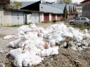Periferia municipiului Suceava, în zona cartierului George Enescu, s-a transformat într-o imensă groapă de gunoi clandestină