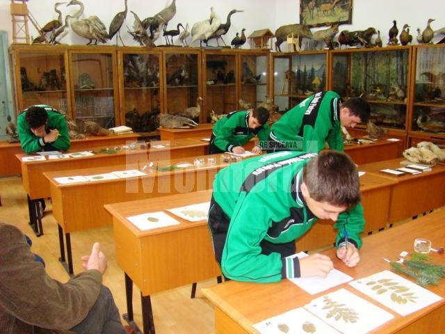 Colegiul Silvic Bucovina din Câmpulung Moldovenesc a fost gazda celei de-a X-a ediţii a “Concursului naţional de competenţe în silvicultură”