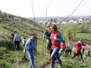 Lecţia de ecologie: Elevi, dascăli şi angajaţi ai primăriei, pe dealuri la plantat salcâmi