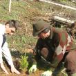Petre Dulgheru la actiunea de plantare de la Sadova