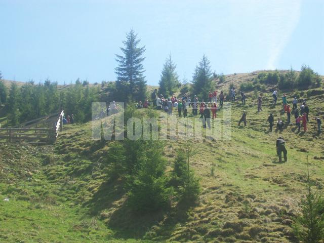 Acţiune: Elevii din Vatra Moldoviţei au plantat 2.000 de arbori în zona mănăstirii
