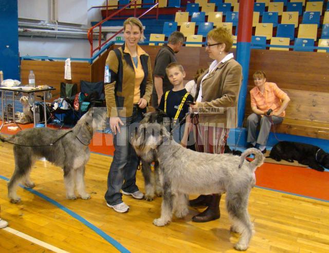 În sala de competiţie de la Poprad