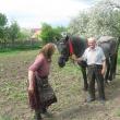 De invidiat: La 82 de ani, seamănă hectare de teren prin sat, cu calul, la preţ de criză