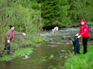 Nepăsare: Râurile din zona de munte, poluate masiv cu deşeuri din plastic