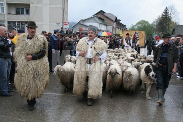 Festivalul prilejuit de urcatul oilor pe munte, cu petrecerea câmpenească de la Bucşoaia a fost anulat
