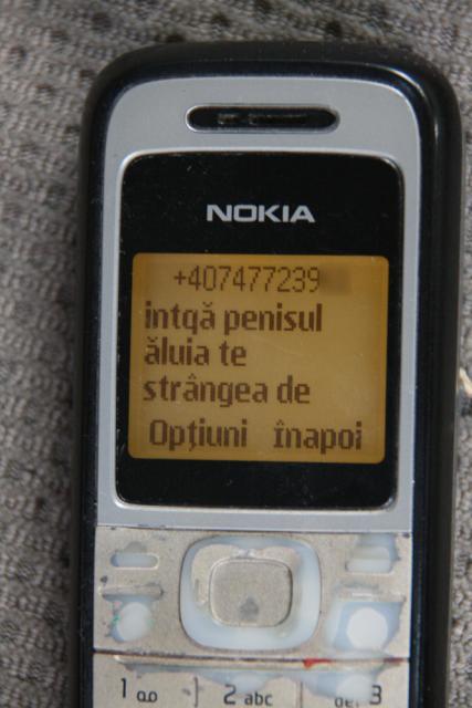 Unul dintre mesajele primite de Oana S. De pe numărul de telefon al preotului Şcheuleac