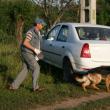 Câinele de urmă, adus de la Rădăuţi i-a dus pe poliţişti, pe câmp, în direcţia comunei Baia