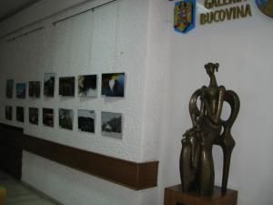 Expoziţie de fotografie: „Imaginea Bucovinei”, la Palatul Administrativ