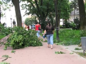 Copaci rupţi de furtună, în parcul central al Sucevei
