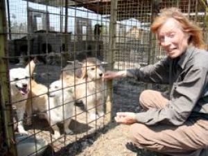 Nemţoaica Christine Schulz, una dintre cele mai înfocate voluntare pentru protecţia câinilor comunitari din Suceava