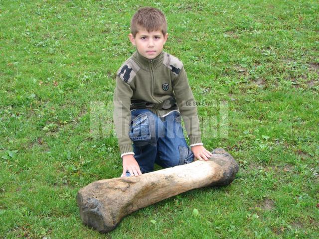Fabian Dolcean cu osul de mamut  descoperit în albia râului Moldova