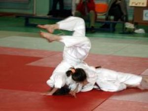 Performanţe: Sezon de excepţie pentru judoul humorean