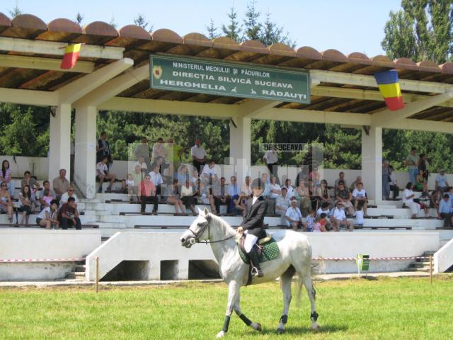Cei mai valoroşi cai de rasă din România au făcut spectacol la Herghelia Rădăuţi