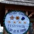 La Poiana Stampei a avut loc Festivalul „Flori de pe Dorna”