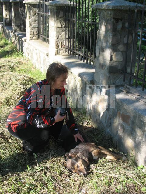 Sorina Corduneanu „Pe câinii ăştia îi cunosc. Nu pot să îi arunc. O să-i iau şi o să-i îngrop”