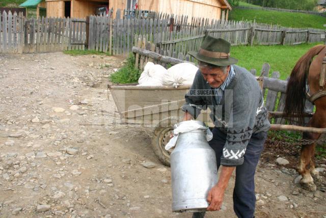 Vasile Hapurnec aduce laptele de la doi km