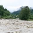 Apele învolburate ale râului Suceava, iulie 2010