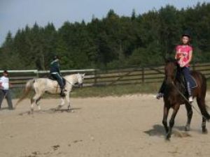 Joly şi Ali, doi dintre caii de legendă