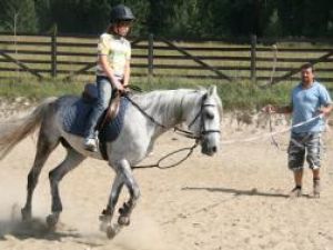 Sedinţele se desfăşoară sub stricta supraveghere a lui Puiu ori a lui Ionel