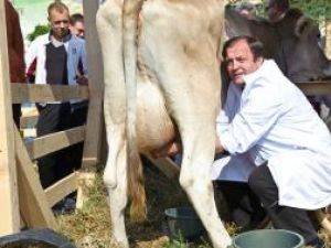 Concurs: Flutur a concurat la muls vaca în cadrul târgului „Produs în Bucovina”