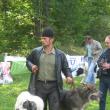 Câini ciobăneşti din România, la poalele pădurii Ilişeşti