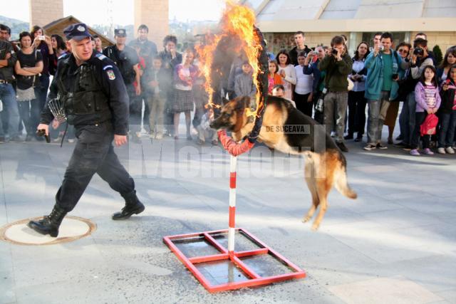 Câinele Jandarmeriei a primit cele mai multe aplauze, după ce a sărit prin cercul de foc