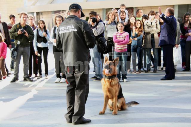 Cel mai bun câine al Poliţiei Criminalistice asteptându-şi recompensa