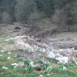 Ruşinos: Malul unui pârâu, împânzit de gunoaie la doi paşi de Mănăstirea Putna