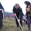 Acţiune: Firmele de asigurări au finanţat împădurirea a 11 hectare de teren la Şerbăuţi