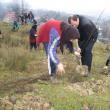 Acţiune: Firmele de asigurări au finanţat împădurirea a 11 hectare de teren la Şerbăuţi