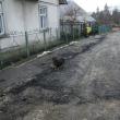 Lucrări de mântuială: Asfaltarea de noapte a ridicat o stradă din Suceava la nivelul trotuarului