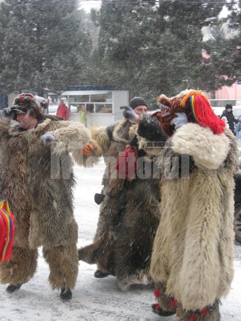 Parada tradiţiilor: Urşi, capre şi urători au invadat străzile Sucevei