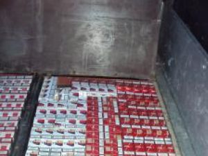 MAI: Peste 100.000 de pachete de ţigări au fost confiscate de la începutul anului