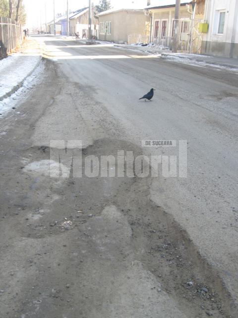 Strada Aurel Vlaicu, distrusă de gropi