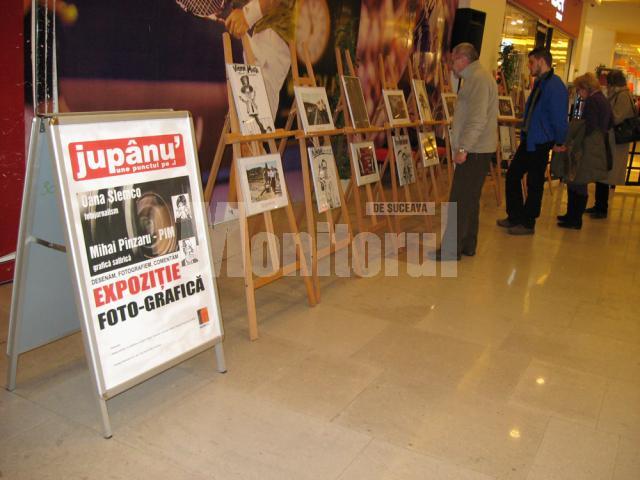 Vizionarea expoziţiei