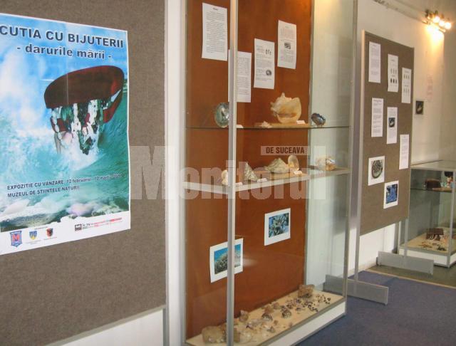 Expoziţia Cutia cu bijuterii - Darurile mării