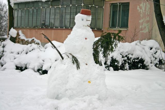 Meteorologii prognozează pentru mâine şi poimâine, două zile de iarnă 