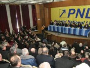 Sondaj: Băişanu, Zmău, Niţă şi Vornicu, posibilii candidaţi PNL pentru Primăria Suceava