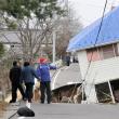 Costul seismului din Japonia pentru asiguratorii europeni ar putea fi de 1-2 miliarde de dolari (foto: REUTERS)