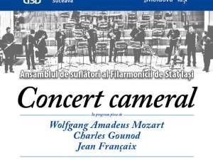 Concert cameral