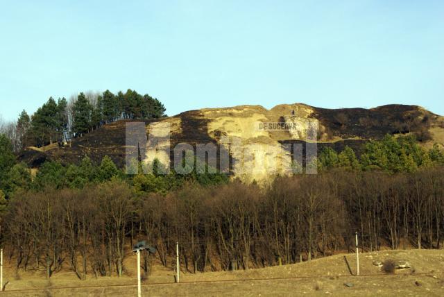 Fondul forestier era la câţiva metri de incendiu