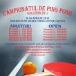 Ping Pong la Galeria