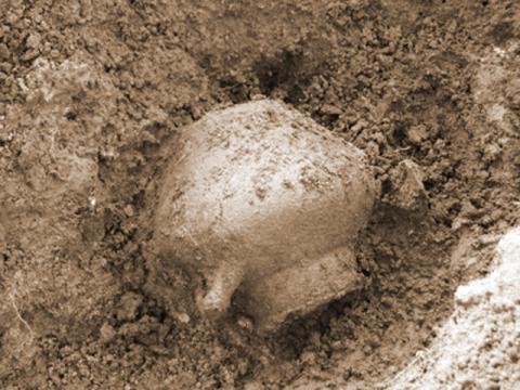 Ceramică Arheologică