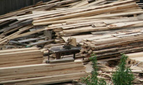 Ministrul Mediului va propune ca orice furt de lemn din păduri să fie pedepsit cu închisoarea