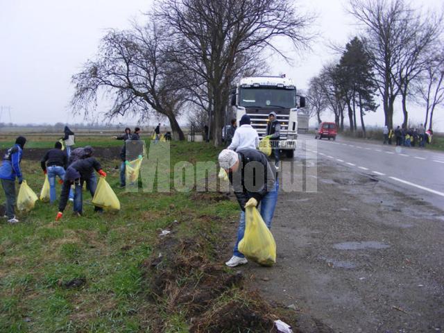 Elevi fălticeneni au ecologizat o porţiune a E85