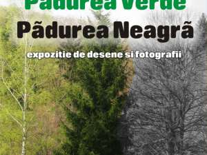 Expozitia „Pădurea verde - Pădurea neagră”